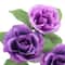 Purple Rose Bush by Ashland&#xAE;